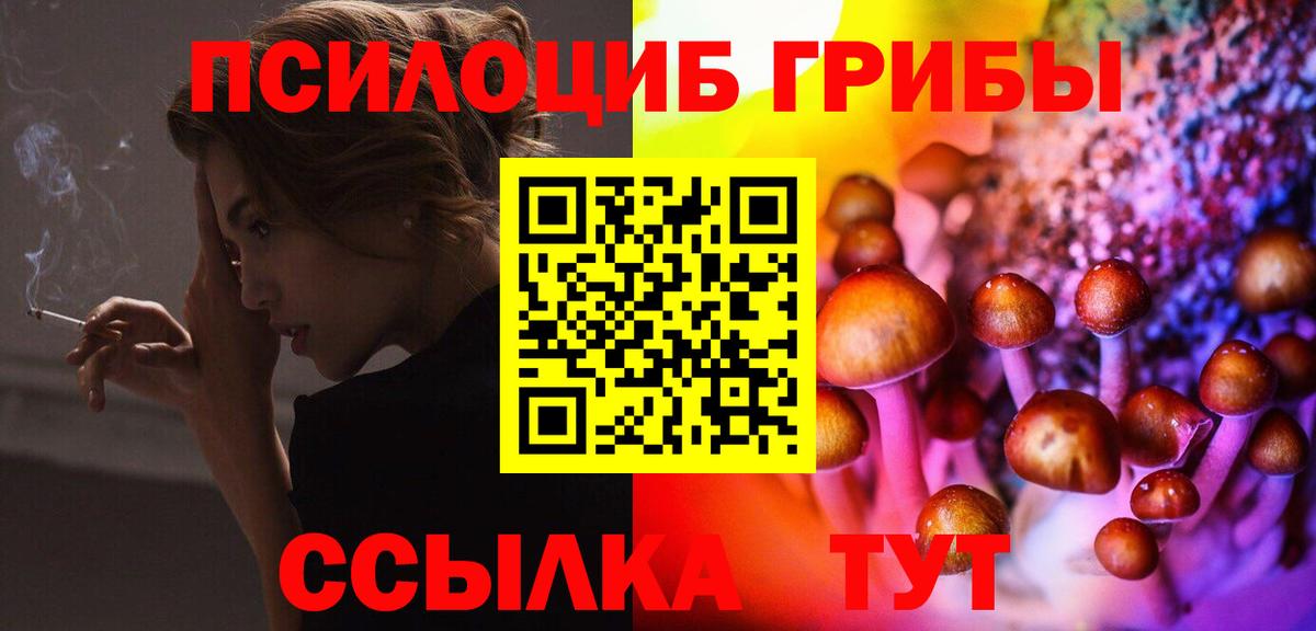 Осинники  Псилоцибиновые грибы мухоморы  Вход с VPN 